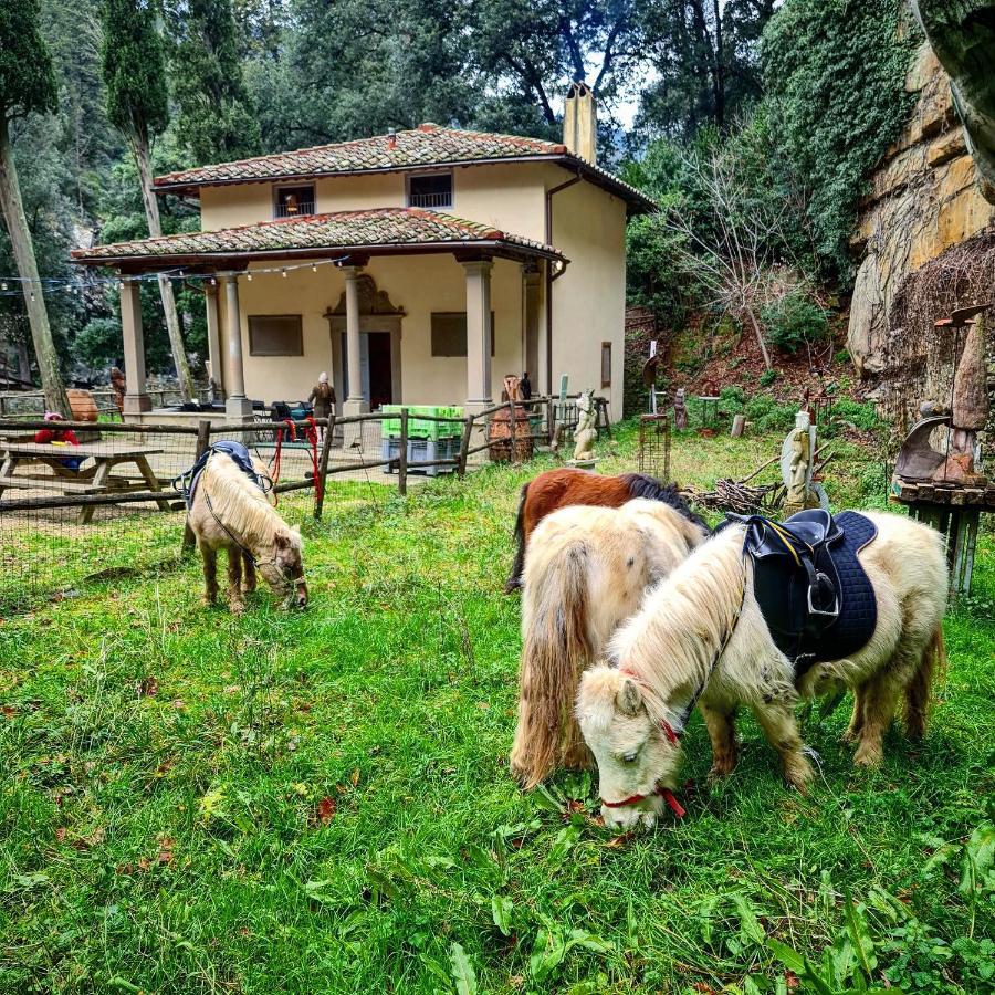 Agriturismo Fattoria Di Maiano Fiesole Eksteriør billede