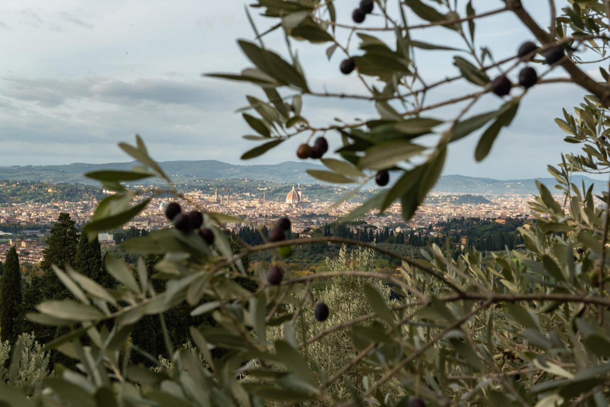 Agriturismo Fattoria Di Maiano Fiesole Eksteriør billede