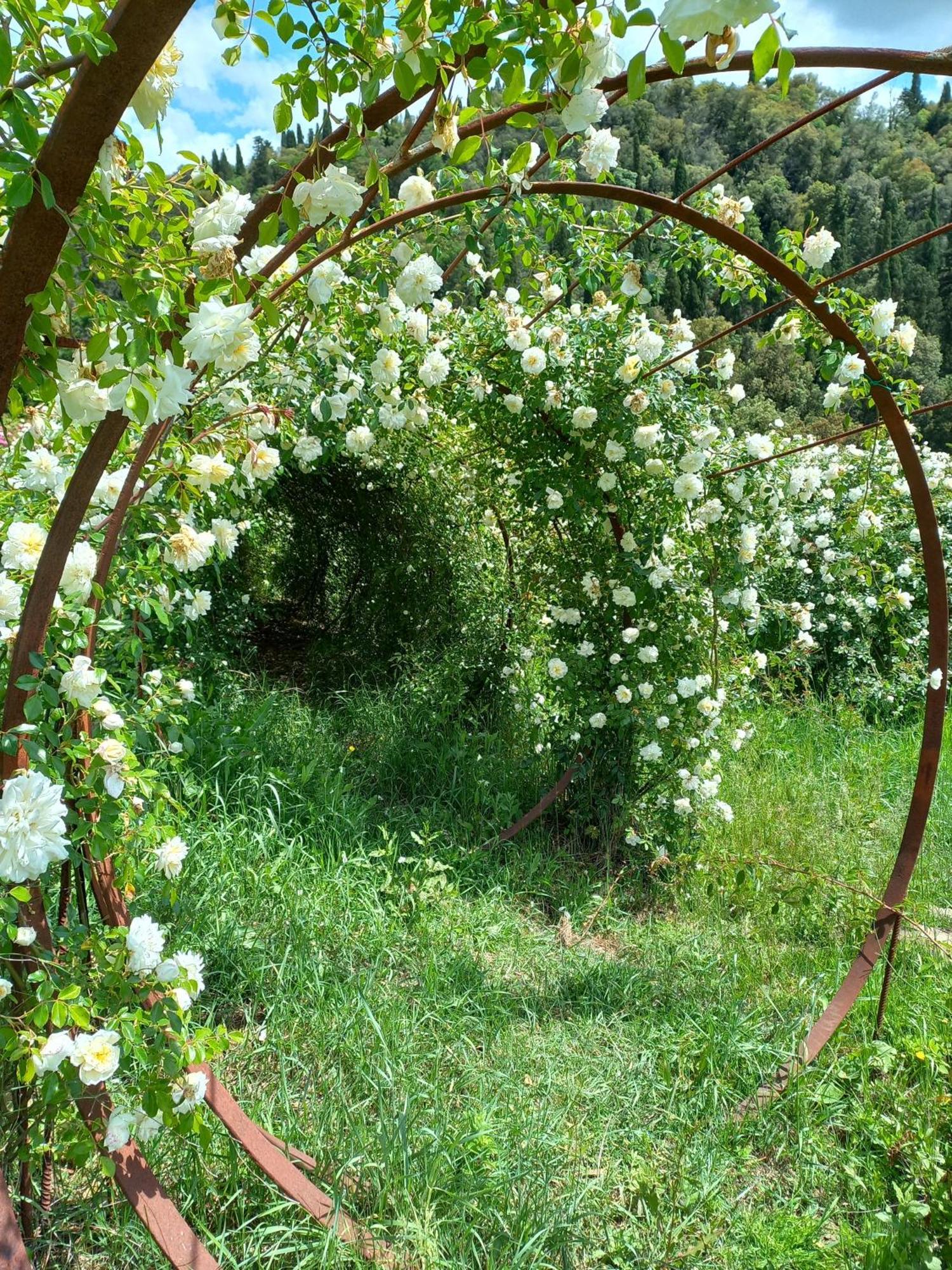 Agriturismo Fattoria Di Maiano Fiesole Eksteriør billede