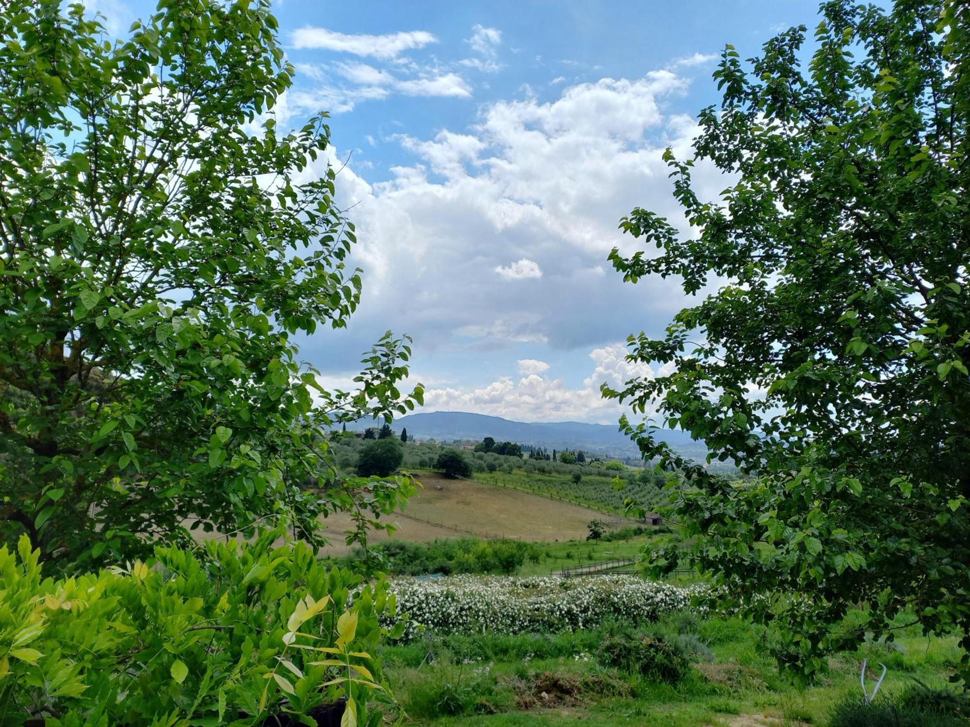 Agriturismo Fattoria Di Maiano Fiesole Eksteriør billede